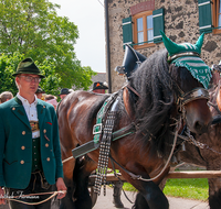 fileadmin/roha/images_galerie/brauchtum/Leonhardiritt/Holzhausen_01/Holzhausen-Ritt-2019/BR-PFRI-HOLZ-2019-1057-01-D-roha-Brauchtum-Pferdeumritt-Leonhardiritt-Holzhausen-Teisendorf-Musikkapelle.png