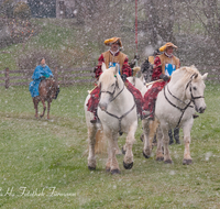 fileadmin/roha/images_galerie/brauchtum/Leonhardiritt/Traunstein-Georgiritt/BR-PFRI-TRAUNST-2015-1051-01-D-roha-Brauchtum-Pferdeumritt-Georgiritt-Traunstein-Ettendorfer-Kircherl.png