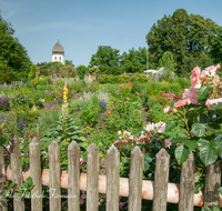 fileadmin/roha/images_galerie/orte_landschaft/Chiemsee/CHIE-FRAU-0004-6-D-roha-Chiemsee-Fraueninsel-Frauenwoerth-Kloster-Garten-Rosen.png