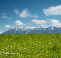 fileadmin/roha/images_galerie/orte_landschaft/Piding/LANDS-PID-0010-D-roha-Landschaft-Piding-Johannishoegl-Untersberg-Blumenwiese.png