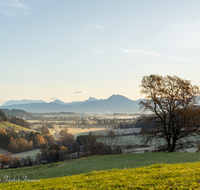 fileadmin/roha/images_galerie/stimmung-Sonne/SO-AU-SURT-0023-0801-D-roha-Sonnenaufgang-Surtal-Teisendorf-Oberteisendorf.png