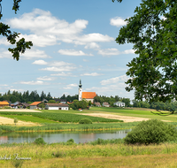 fileadmin/roha/images_galerie/orte_landschaft/Tittmoning/TITTM-ASTEN-MOOR-0007-D-M-roha-Tittmoning-Asten-Kirche-Moor-Moewen.png