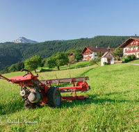 fileadmin/roha/images_galerie/Landwirtschaft/AN-STOISSB-0005-D-roha-Anger-Stoissberg-Landwirtschaft-Bauernhaus-Vieh-Kapelle.png