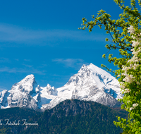 fileadmin/roha/images_galerie/orte_landschaft/Berchtesgaden/Watzmann/BGD-WATZ-0022-01-D-roha-Berchtesgaden-Watzmann-Gipfel-Flieder.png