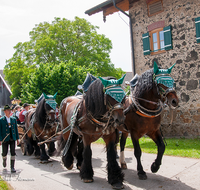 fileadmin/roha/images_galerie/brauchtum/Leonhardiritt/Holzhausen_01/Holzhausen-Ritt-2019/BR-PFRI-HOLZ-2019-1056-02-D-roha-Brauchtum-Pferdeumritt-Leonhardiritt-Holzhausen-Teisendorf-Musikkapelle.png