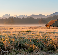 fileadmin/roha/Interessantes-in-Kurzform/HAARM-0004-0-1-D-roha-Abtsdorf-Haarmoos-Sonnenaufgang-Watzmann-Stadel-Hochstaufen.png