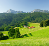 fileadmin/roha/images_galerie/orte_landschaft/Anger/Anger/Anger-Landschaft/LANDS-ANG-0006-1-D-roha-Landschaft-Anger-Stoissberg-Hochstaufen-Zwiesel.png