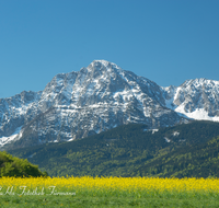 fileadmin/roha/images_galerie/orte_landschaft/Anger/Anger/Anger-Landschaft/LANDS-ANG-HOCHST-0003-D-roha-Landschaft-Anger-Hochstaufen-Fruehling-Rapsfeld.png