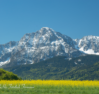 fileadmin/roha/images_galerie/orte_landschaft/Anger/Anger/Anger-Landschaft/LANDS-ANG-HOCHST-0003-D-roha-Landschaft-Anger-Hochstaufen-Fruehling-Rapsfeld.png