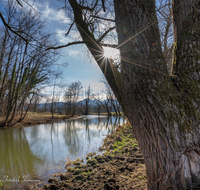 fileadmin/roha/images_galerie/orte_landschaft/Saaldorf/LANDS-SAAL-SILL-SUR-S-0001-D-roha-Landschaft-Saaldorf-Sillersdorf-Sur-Sonne.png