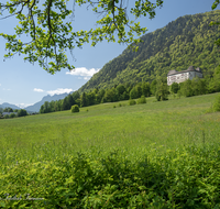 fileadmin/roha/images_galerie/orte_landschaft/Piding/PID-STAUFENECK-0064-D-roha-Piding-Staufeneck-Schloss-Lattengebirge-fuderheuberg.png