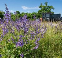 fileadmin/roha/images_galerie/orte_landschaft/Freilassing/FREIL-KREISV-EISB-0018-D-roha-Freilassing-Eisenbahn-Kreisverkehr-Lokomotive.png