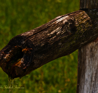 fileadmin/roha/images_galerie/Wasser-Brunnen/LANDA-BRUN-GROSSG-0007-D-roha-Landart-Brunnen-Grossgmain-Wasser.png