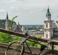 fileadmin/roha/images_galerie/orte_landschaft/Salzburg/SA-DOM-RA-0001-D-roha-Salzburg-Dom-Dach-Kuppel-Zwiebelturm-Radl.png