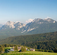 fileadmin/roha/images_galerie/orte_landschaft/Stoisser-Alm/TEI-STO-0029-13-D-roha-Teisendorf-Anger-Stoisseralm-Untersberg-Blumenwiese-Almwiese.png