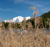 fileadmin/roha/images_galerie/orte_landschaft/Berchtesgaden/Ramsau/BGD-RA-HI-0011-01-05-D-roha-Berchtesgaden-Ramsau-Hintersee-Hoher-Goell-Schilf.png