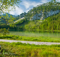 fileadmin/roha/images_galerie/orte_landschaft/Inzell/INZ-FRILL-0024-D-roha-Inzell-Frillensee-Zwiesel-Biotop-Naturschutz-Wasser-See-Steg.png