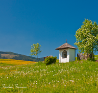 fileadmin/roha/images_galerie/kirche_religion/Teisendorf/Freidling-Berg-Stoisseralm/KKKM-TEIS-BERG-FR-0048-D-roha-Kapelle-Suehnekreuz-Totenbretter-Teisendorf-Freidling-Blumenwiese.png