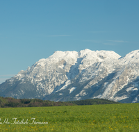 fileadmin/roha/images_galerie/orte_landschaft/Anger/Anger/Anger-Landschaft/LANDS-ANG-UNT-0002-D-roha-Landschaft-Anger-Untersberg-Blumenwiese.png