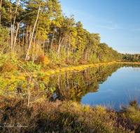 fileadmin/roha/images_galerie/orte_landschaft/Petting/Schoenramer-Moor/PE-SCHOENR-MOOR-0046-01-21-1-D-roha-Petting-Schoenramer-Moor-Moorsee-Herbst.png