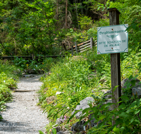 fileadmin/roha/images_galerie/wege/PID-BERGBL-0002-D-roha-Piding-Bergblumen-Garten-Schild-Weg.png