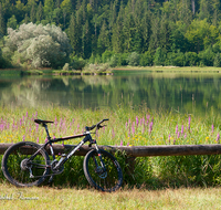 fileadmin/roha/images_galerie/Freizeit-Sport/Mountainbike-Radfahren/REIT-IM-WI-WEITS-0013-02-D-roha-Reit-im-Winkl-Weitsee-Herbst-Wasser-See-Mountainbike-Blumenwiese.png