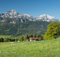 fileadmin/roha/images_galerie/orte_landschaft/Anger/Anger/AN-HOEGL-REIN-0001-D-roha-Anger-Hoegl-Reinbrecht-Hochstaufen-Zwiesel-Fruehling.png