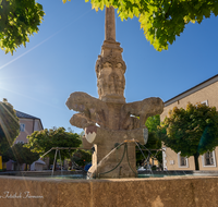 fileadmin/roha/images_galerie/orte_landschaft/Bad_Reichenhall/BAD-REI-FUSSG-0006-01-21-D-roha-Bad-Reichenhall-Wittelsbacher-Brunnen-Wasser-Rathausplatz-Sonne.png