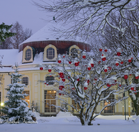 fileadmin/roha/images_galerie/orte_landschaft/Bad-Reich-Kurgarten-Beleuchtung/BAD-REI-KURGAR-WI-0005-D-roha-Bad-Reichenhall-Kurgarten-Rotunde-Christbaum-Christbaumkugel-rot-Schnee-Winter.png