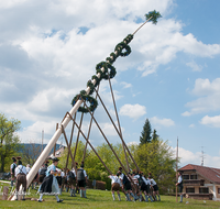 fileadmin/roha/images_galerie/brauchtum/Maibaum/Anger-Hoeglwoerth/BR-MAIB-ANG-2017-1437-02-D-roha-Brauchtum-Maibaum-Anger.png