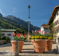 fileadmin/roha/images_galerie/brauchtum/Maibaum/Reichenhall-Marzoll-Schoenram/BR-MAIB-BAD-REI-FL-0003-D-roha-Maibaum-Bad-Reichenhall-Florianiplatz.png