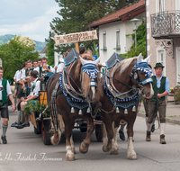 fileadmin/roha/images_galerie/brauchtum/Maibaum/Teisendorf/BR-MAIB-TEI-0100-2015-1228-02-D-roha-Brauchtum-Maibaum-Teisendorf-Aufstellen.png