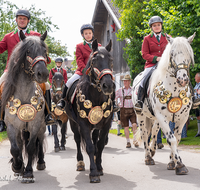 fileadmin/roha/images_galerie/brauchtum/Leonhardiritt/Holzhausen_01/Holzhausen-Ritt-2019/BR-PFRI-HOLZ-2019-0959-01-D-roha-Brauchtum-Pferdeumritt-Leonhardiritt-Holzhausen-Teisendorf-Pferd-Reiter.png