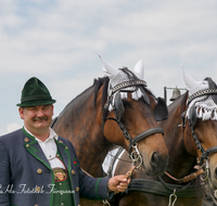 fileadmin/roha/images_galerie/brauchtum/Leonhardiritt/Holzhausen_01/Kaltblutfest/BR-PFRI-HOLZ-KALTBL-2015-1038-D-roha-Brauchtum-Kaltblut-Pferd-Kutsche-Holzhausen-Teisendorf-Zehner-Fahrer.png