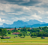 fileadmin/roha/images_galerie/orte_landschaft/Haarmoos/HAARM-0049-D-roha-Abtsdorf-Laufen-Haarmoos-Stadel-Saaldorf.png