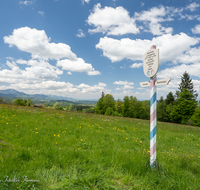 fileadmin/roha/images_galerie/orte_landschaft/Teisendorf/Neukirchen/LANDA-GRENZE-0015-D-roha-Landart-Grenze-Bayern-Chiemgau-Salzburg-Rupertiwinkel-historisch-Teisendorf-Siegsdorf.png