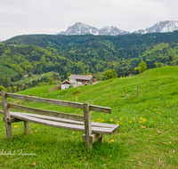 fileadmin/roha/images_galerie/Zaun-Bank/LANDS-ANG-STOISSB-0007-D-roha-Landschaft-Anger-Stoissberg-Hochstaufen-Zwiesel-Untersberg-Bank.png