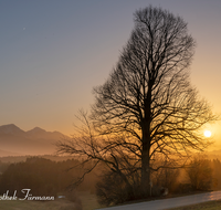 fileadmin/roha/Interessantes-in-Kurzform/SON-UN-SURB-0001-1731-D-roha-Sonnenuntergang-Saharastaub-Surberg-Neukirchen.png