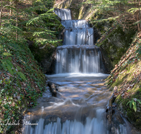 fileadmin/roha/images_galerie/wasser/WAS-WILDB-HOEGLW-0006-7-D-roha-Wasser-Bach-Hoeglwoerth-Fruehjahr.png