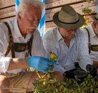 fileadmin/roha/images_galerie/kulinarisch/Wieninger/WIENINGER-HOPF-FEST-2023-1536-01-D-roha-Wieninger-Hopfenzupferfest.png