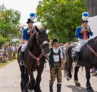 fileadmin/roha/images_galerie/brauchtum/Leonhardiritt/Holzhausen_01/Holzhausen-Ritt-2019/BR-PFRI-HOLZ-2019-1034-02-D-roha-Brauchtum-Pferdeumritt-Leonhardiritt-Holzhausen-Teisendorf.png