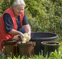 fileadmin/roha/images-Rezepte/GAS-SAU-KR-2017-1028-01-D-roha-Essen-Garten-Sauerkraut-Gaertopf-Bottich.jpg