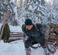 fileadmin/roha/images_galerie/Landwirtschaft/Forst-Holzknecht/HOLZKNE-HAM-0015-1249-1318-D-roha-Holzknecht-Schlitten-Winter-Siegsdorf-Hammer-Winterzug.png