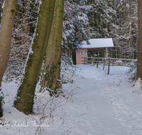 fileadmin/roha/images_galerie/kirche_religion/Ainring/KKKM-AINR-ANTONIUS-0030-D-roha-Kapelle-Antonius-Kasaleitn-Ainring-Weg-Winter.png