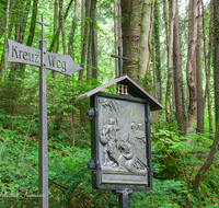 fileadmin/roha/images_galerie/kirche_religion/Ainring-Kreuzweg/KKKM-AINR-KR-03-0005-D-roha-Kreuzweg-Ainring-Kirche-Wald-Steg.png