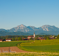 fileadmin/roha/images_galerie/orte_landschaft/Saaldorf/SAAL-0022-D-roha-Saaldorf-Kirche-Zwiebelturm-Landwirtschaft-Hochstaufen-Zwiesel.png