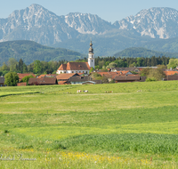 fileadmin/roha/images_galerie/orte_landschaft/Saaldorf/SAAL-0028-D-roha-Saaldorf-Kirche-Zwiebelturm-Hochstaufen-Zwiesel.png