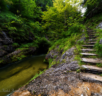 fileadmin/roha/images_galerie/orte_landschaft/Schneizlreuth/SCHNEILZL-WEISSB-0001-20-0928-D-roha-Schneizlreuth-Weissbach-Schlucht-Wasser.j.png