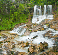 fileadmin/roha/images_galerie/orte_landschaft/Schneizlreuth/SCHNEILZL-WEISSB-FALL-0006-D-roha-Schneizlreuth-Weissbachfall-Wasser-Wasserfall.png