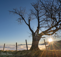 fileadmin/roha/images_galerie/stimmung-Sonne/Sonnenaufgang/SO-AU-ANG-STOISSB-0002-0806-D-roha-Sonnenaufgang-Anger-Stoissberg-Neuhaus.png